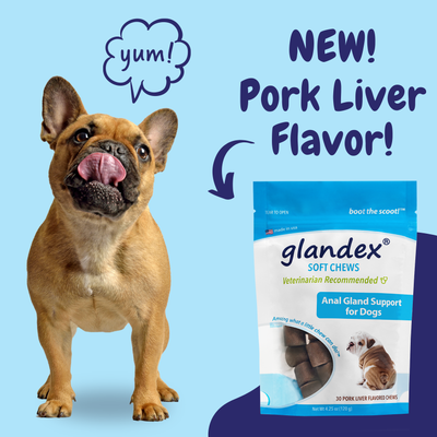 Say Hello to NEW Glandex® Pork Liver Soft Chews