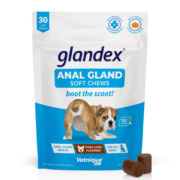 Glandex® Anal Gland Supplement for Dogs with Pumpkin