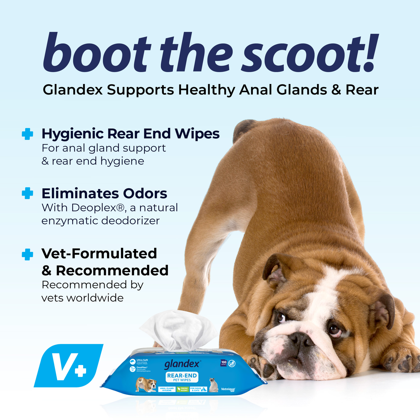 Glandex® Anal Gland Hygienic Pet Wipes