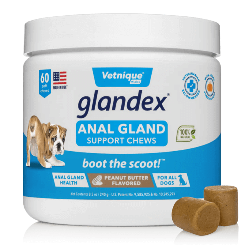 Glandex Anal Gland Chews with Pumpkin