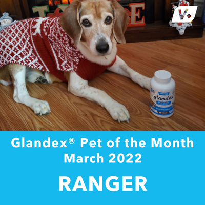 March 'Ranger' Anal Gland Success Case