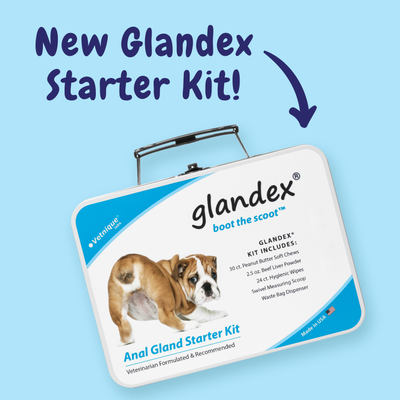 Boot the Scoot with our NEW Glandex Anal Gland Starter Kit!