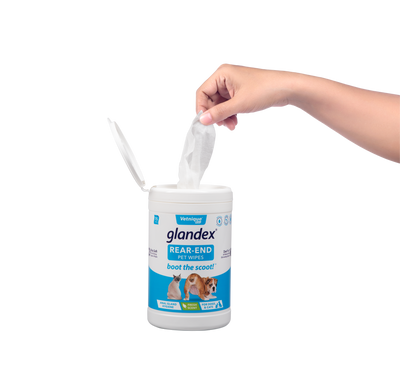 Glandex® Pet Anal Gland Wipes For Dogs and Cats