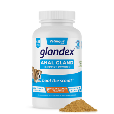 Glandex® Anal Gland Supplement for Dogs & Cats with Pumpkin - 4.0 oz Powder  Vegan salmon Flavored