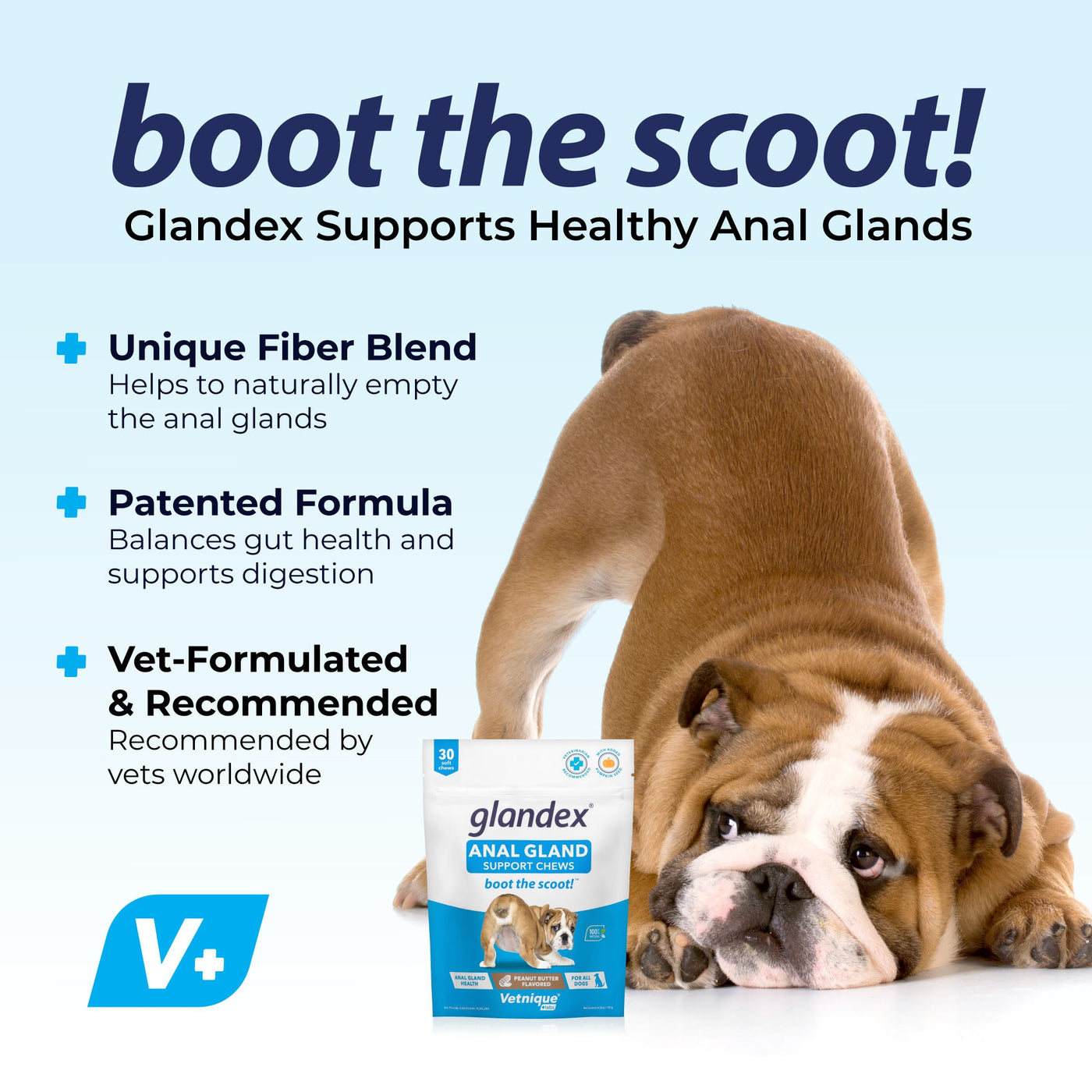 Boot the Scoot with Glandex® Anal Gland Supplement for Dogs with Pumpkin - 30 Count- Peanut Butter Flavored