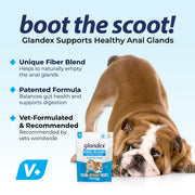 Glandex® Peanut Butter Soft Chews for Dogs - 30 Chews