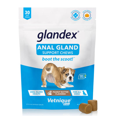 Glandex® Anal Gland Supplement for Dogs with Pumpkin - 30 Count- Peanut Butter Flavored