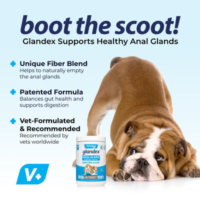 Boot the Scoot with Glandex® Anal Gland Supplement for Dogs with Pumpkin - 120 Chews
