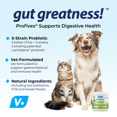 Profivex® Five Strain Probiotics Powder for Dogs & Cats