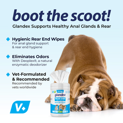 Boot the Scoot with Glandex Rear End Pet Wipes
