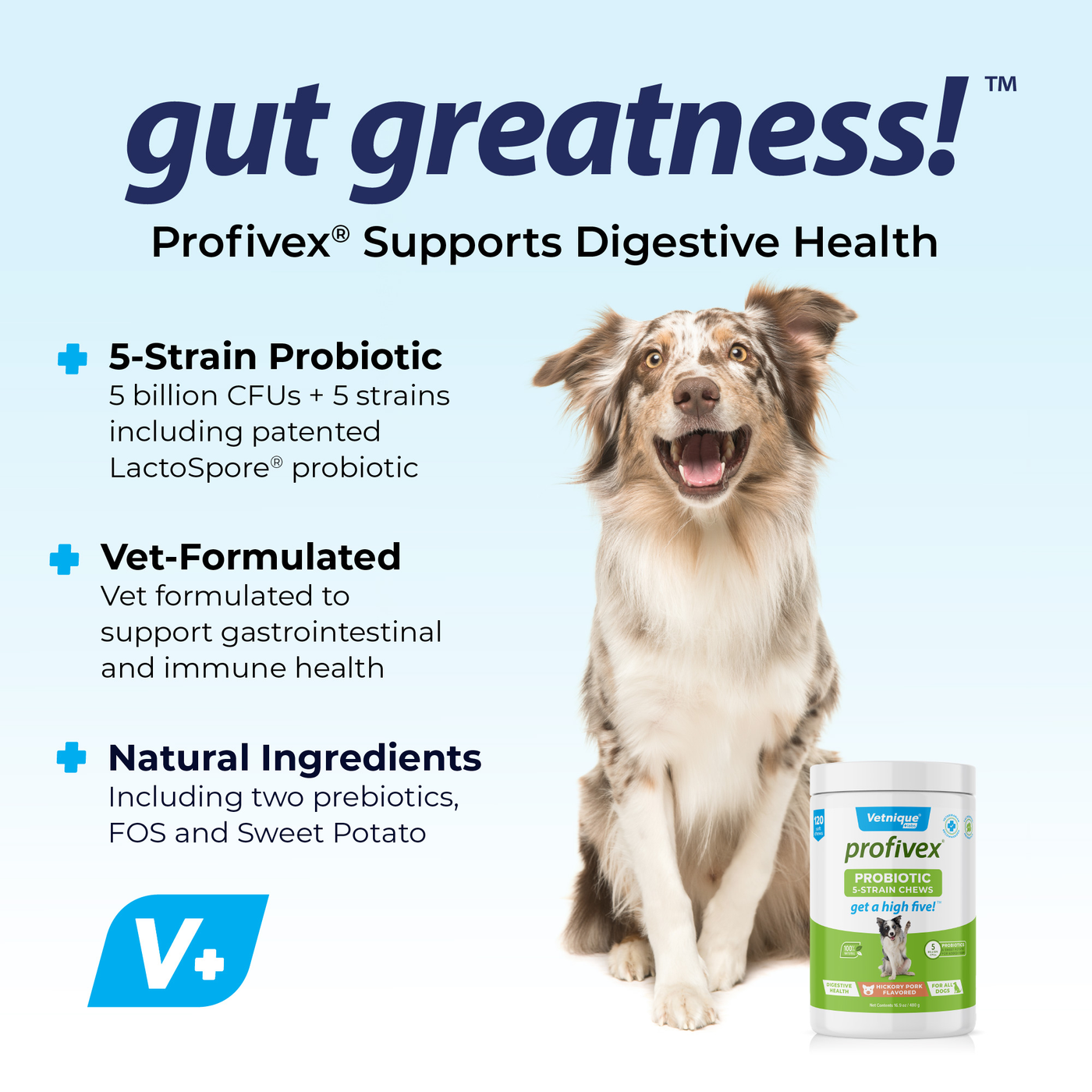 Profivex® Five Strain Probiotic Soft Chew Treats for Dogs - 120 Chews