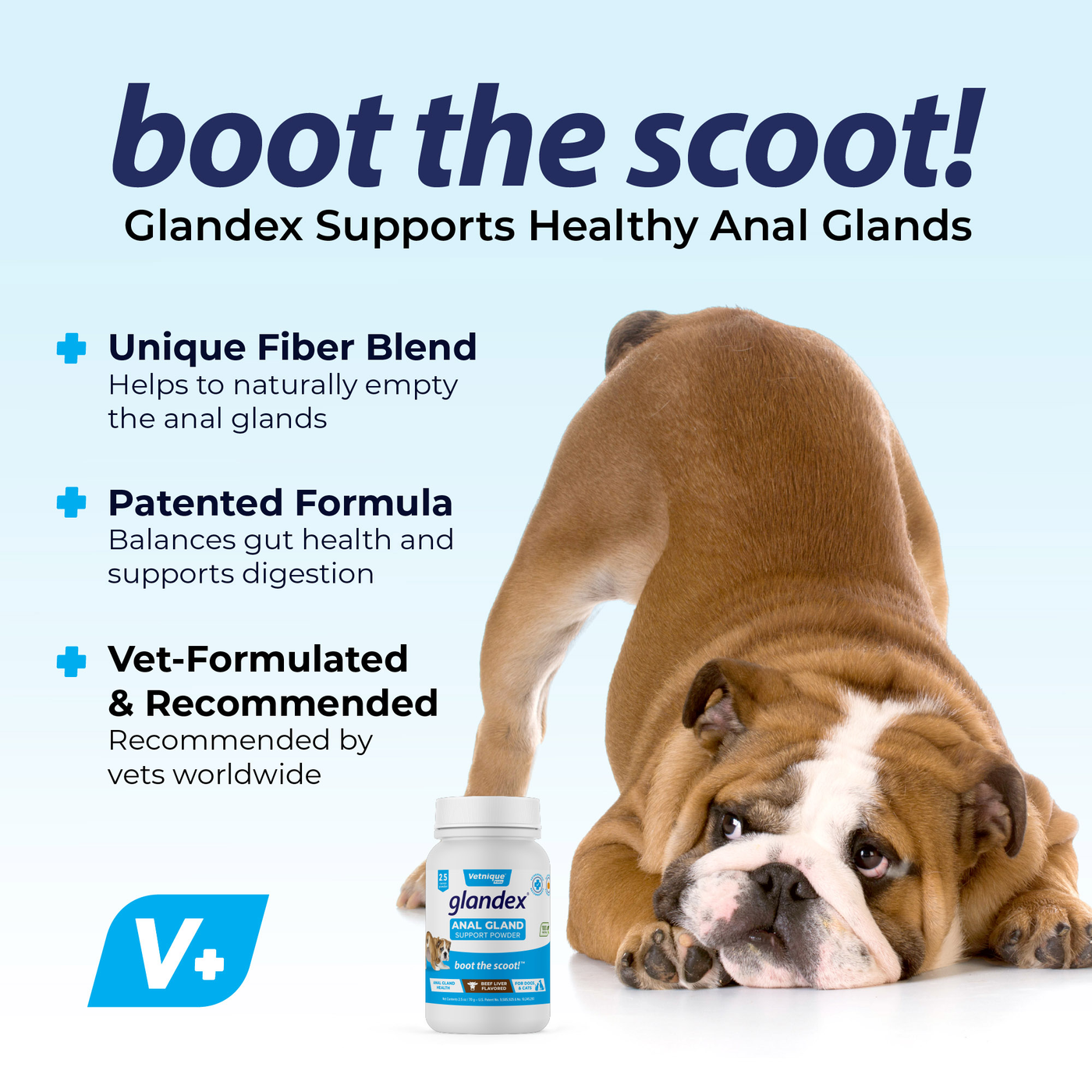 Glandex® Anal Gland Powder Supplement for Dogs & Cats with Pumpkin