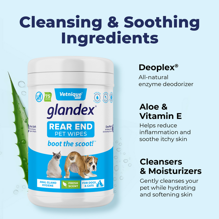 Glandex® Anal Gland Hygienic Pet Wipes - 75 Fresh Scented Wipes