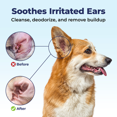 Oticbliss™ Anti-Bacterial & Anti-Fungal Medicated Ear Flush for Dogs