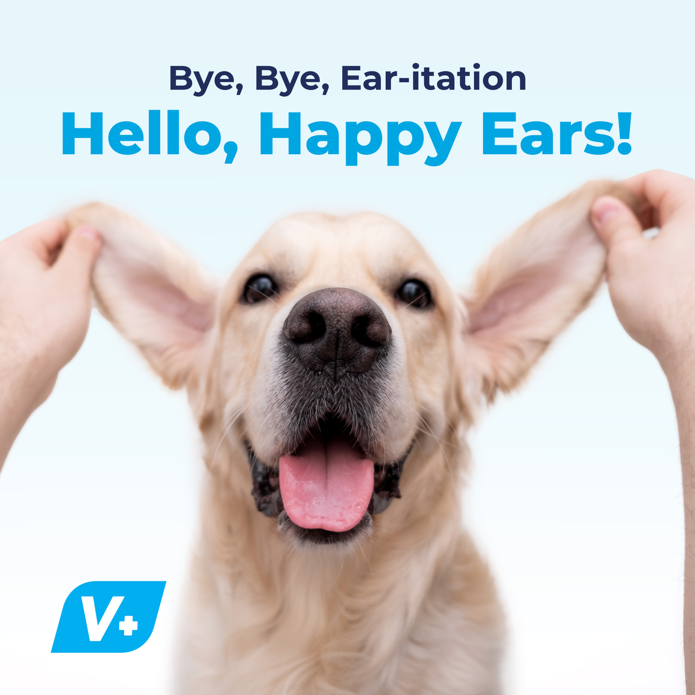 NEW Oticbliss Vet-Strength Pet Ear Drops with MicroSilver BG™