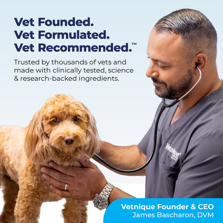 Glandex wipes shop for dogs