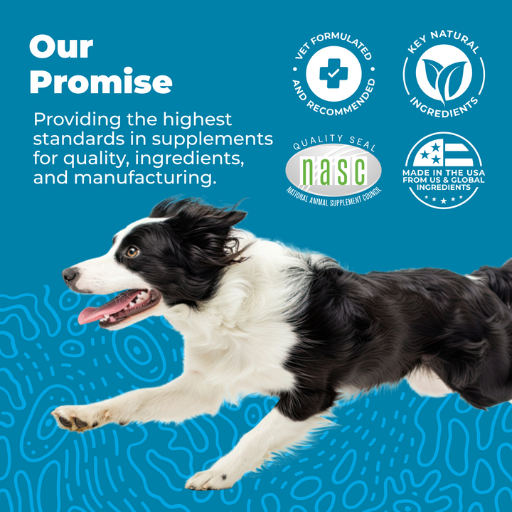 Glandex® Daily Prebiotic & Probiotic Soft Chews