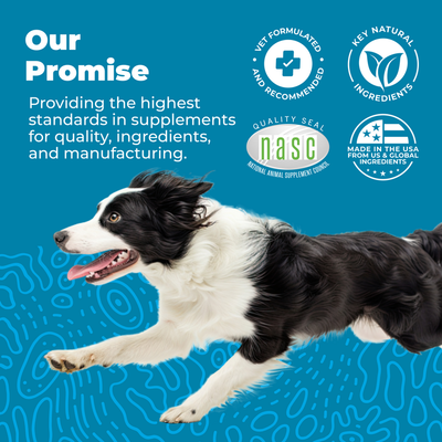 Glandex® Daily Prebiotic & Probiotic Soft Chews