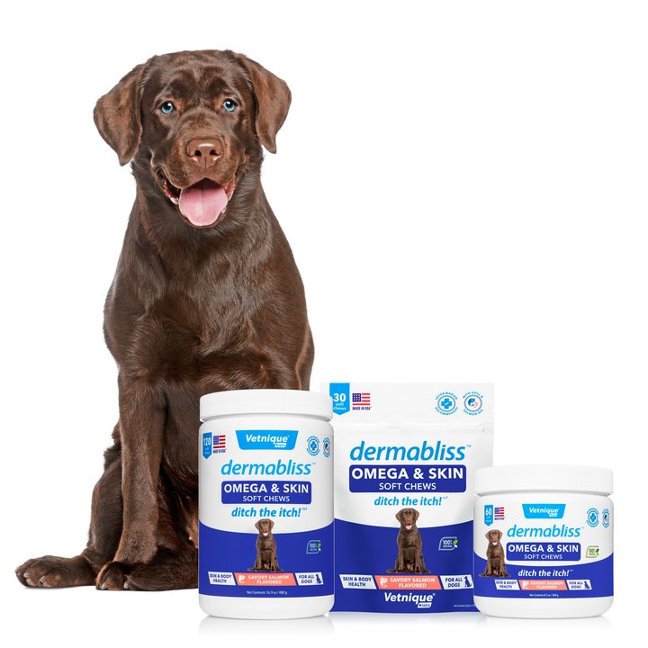 Toallitas Vetnique Labs Glandex, limpieza y desodorización de glándulas  anales,con vitamina E, para perro y gato