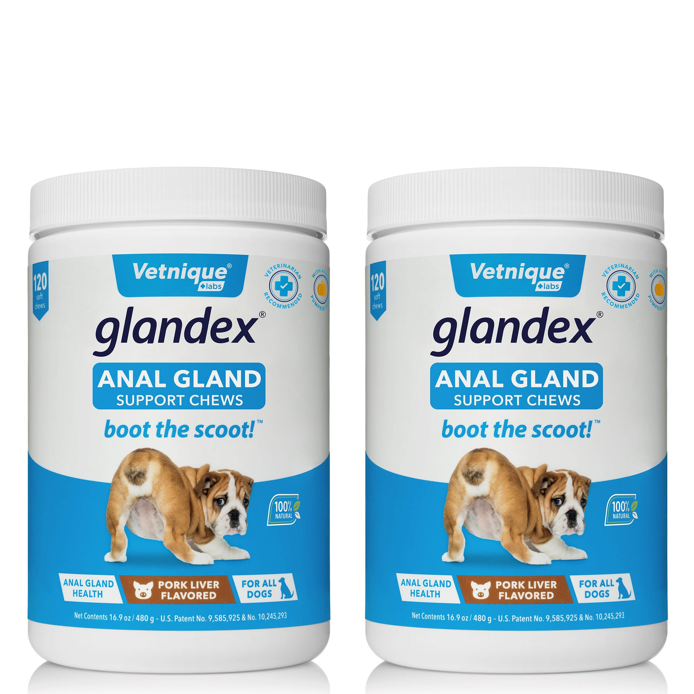 Glandex® Anal Gland Supplement for Dogs with Pumpkin - 120 Chews 2 Pack Pork flavor