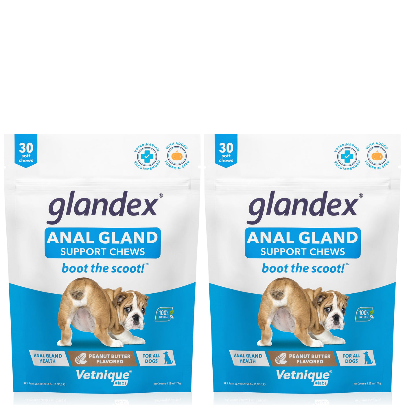 Glandex® Anal Gland Supplement for Dogs with Pumpkin - 30 Count- Peanut Butter Flavored 2 Pack