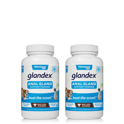 Glandex® Anal Gland Supplement for Dogs & Cats with Pumpkin - 4.0 oz Powder 2 Pack Beef Liver