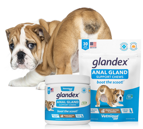 Glandex - Comprimés à mâcher pour chien pour glandes anales