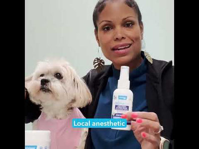 Vet explains how Dermabliss Anti-itch spray dogs ditch the itch!