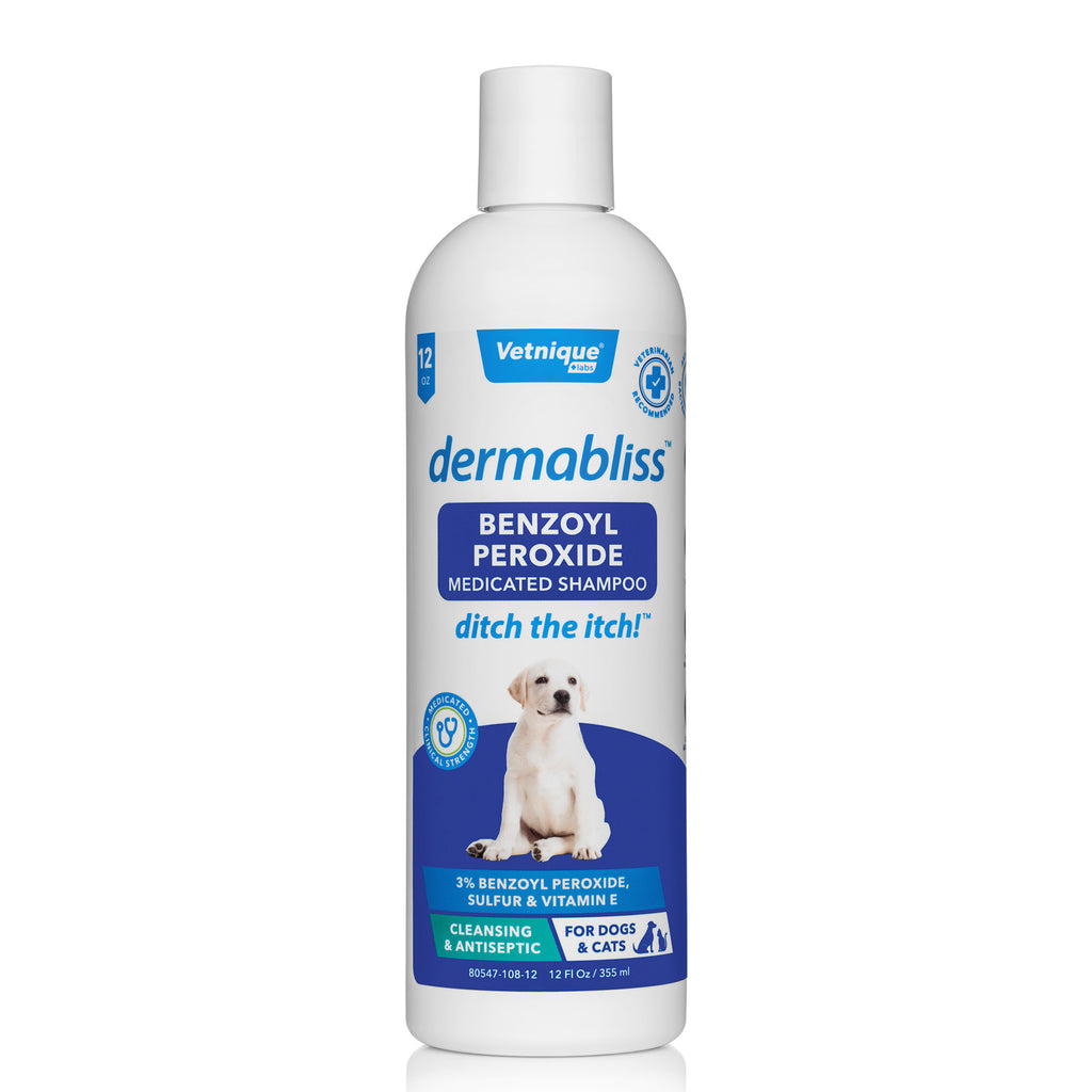 Dermabliss™ Benzoyl Peroxide Shampoo for Dogs - 12oz | Glandex