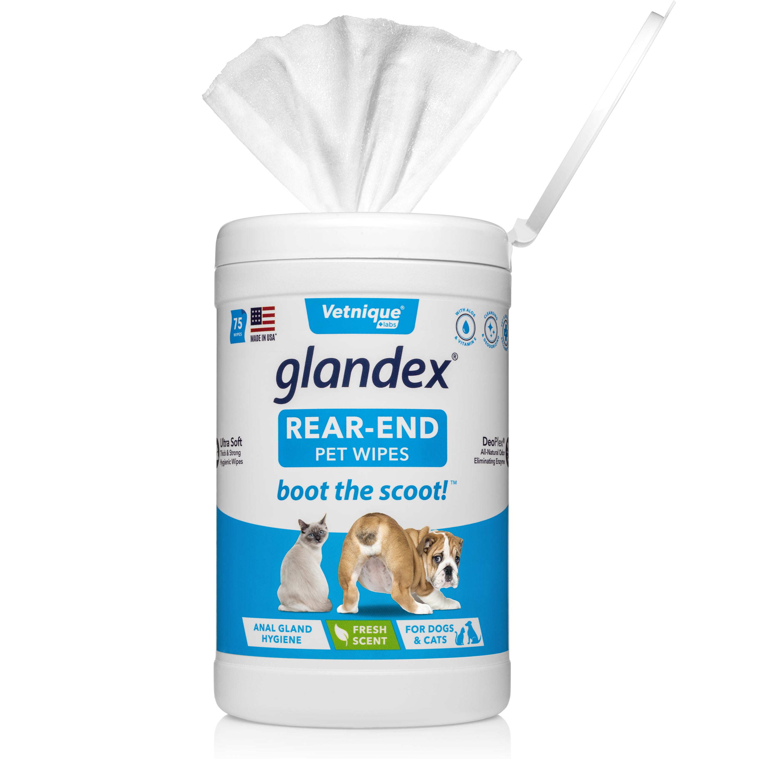 Glandex Anal Gland Soft Chew Treats with Pumpkin for Dogs Digestive  Enzymes, Probiotics Fiber Supplement for Dogs Boot The Scoot ( Peanut Butter