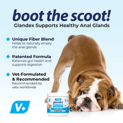 Glandex® Anal Gland Supplement for Dogs with Pumpkin - 60 Chews