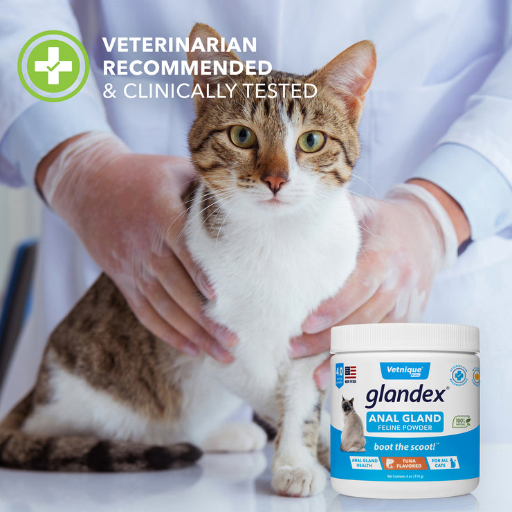 Glandex® Cat Anal Glands Supplement - 4.0oz Tuna Flavored Powder
