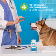 Glandex® Anal Gland Supplement for Dogs & Cats with Pumpkin - 5.5 oz Powder