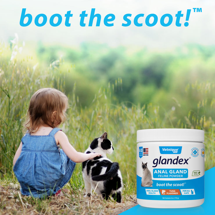 Glandex® Cat Anal Glands Supplement - 4.0oz Tuna Flavored Powder