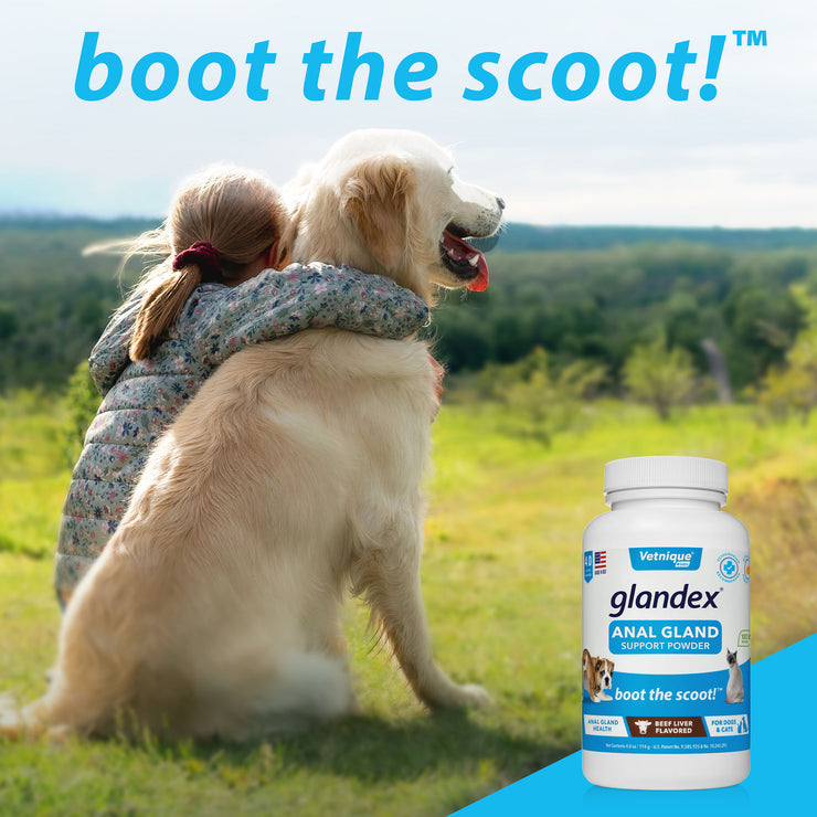 Glandex® Anal Gland Supplement for Dogs & Cats with Pumpkin - 5.5 oz Powder
