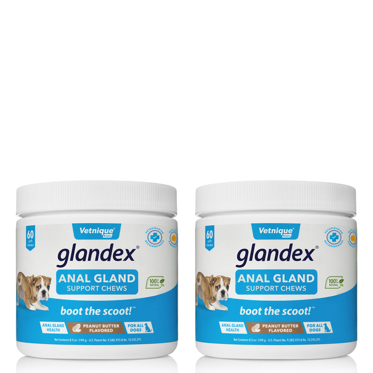 Glandex® Anal Gland Supplement for Dogs with Pumpkin - 60 Chews